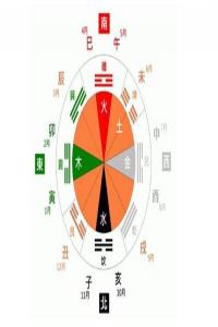 b型血女人的性格特点 B型血女生性格解析